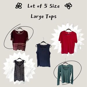 Women’s Size Large Tops Bundle | 5 Piece Lot | Liz Claiborne Blair a.n.a